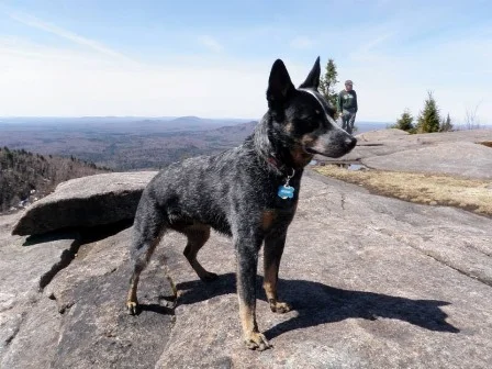 St Regis Mtn. May 7, 2014