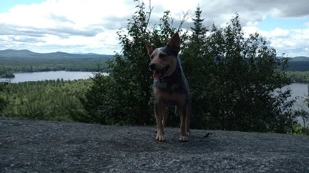 Little Haystack Mtn (Buck Pond)
