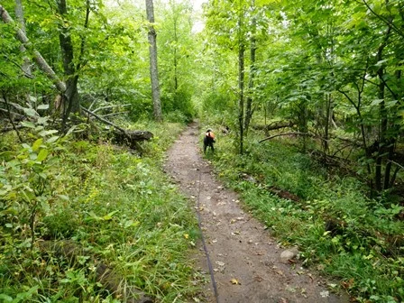 Baker Mtn