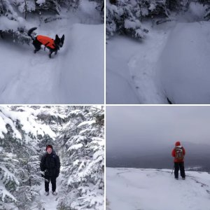 Mt. Vanhoevenberg