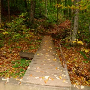 P1010162