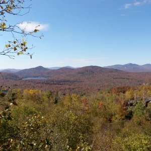 PA110017