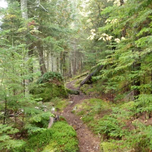 P9230003