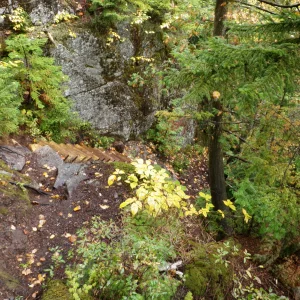 P9230012