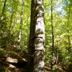 PA010011
