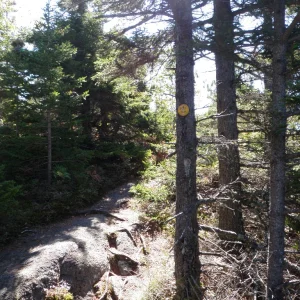 PA010018