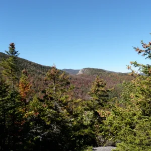 PA010019
