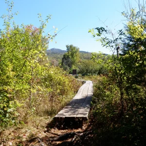 PA010028