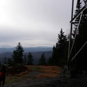 PB010011