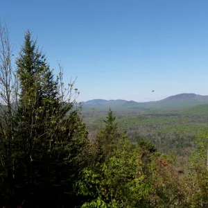 P5230012.jpg