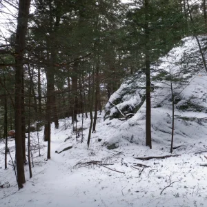 P1050004.jpg