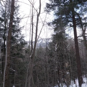P1050006.jpg
