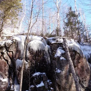 P2010009.jpg