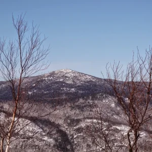 P2010019.jpg