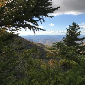 Views southeast