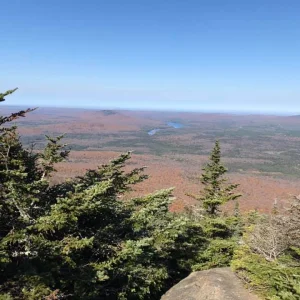 Views SSW