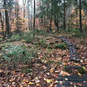 Several boardwalks