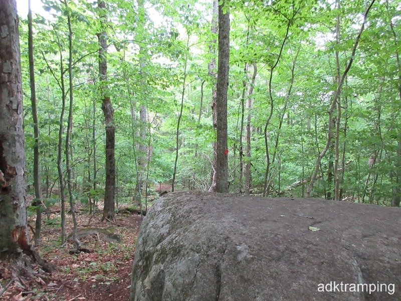 A few large rocks along the trail