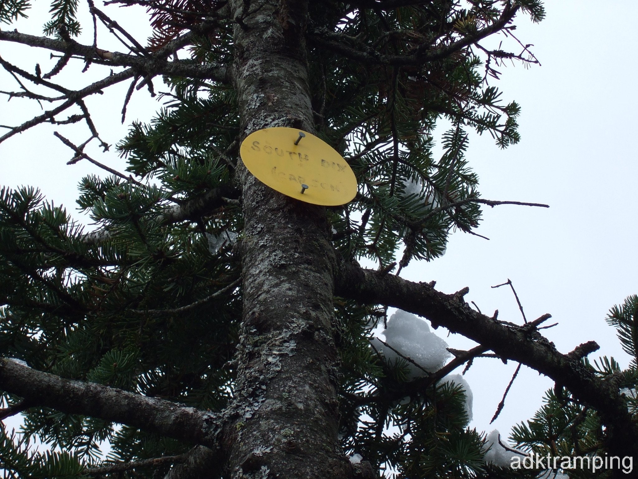 Adk14