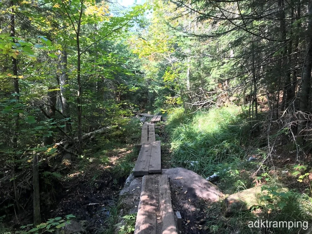 Along the Van Hoevenberg trail