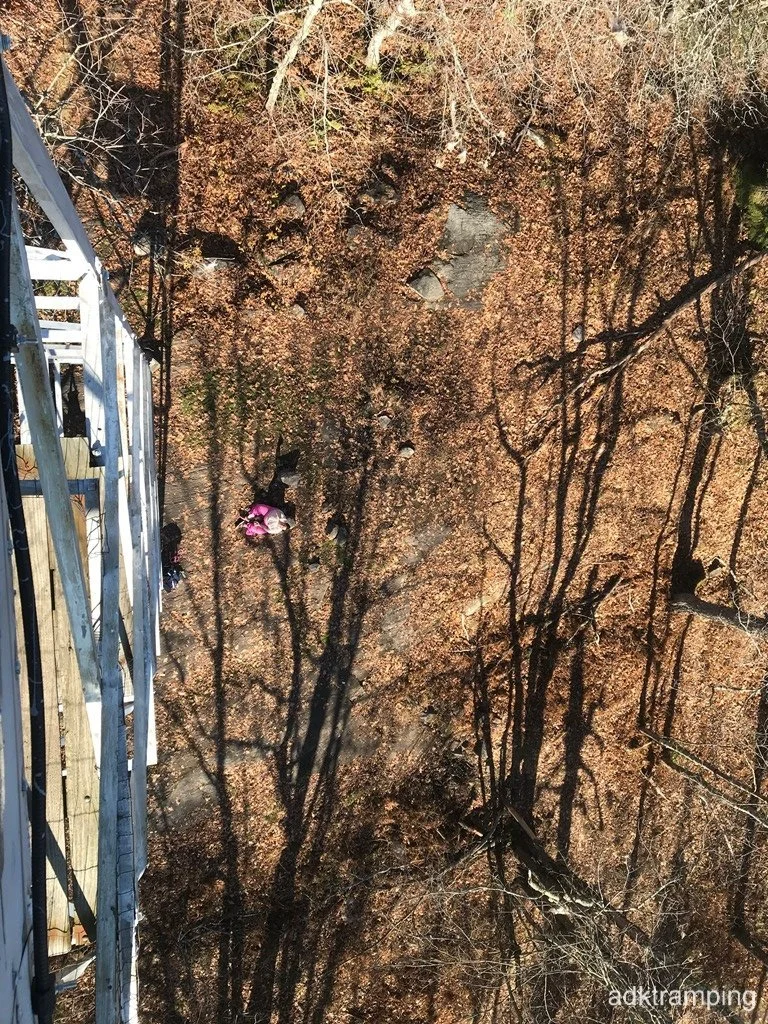 Danie and Hattie below