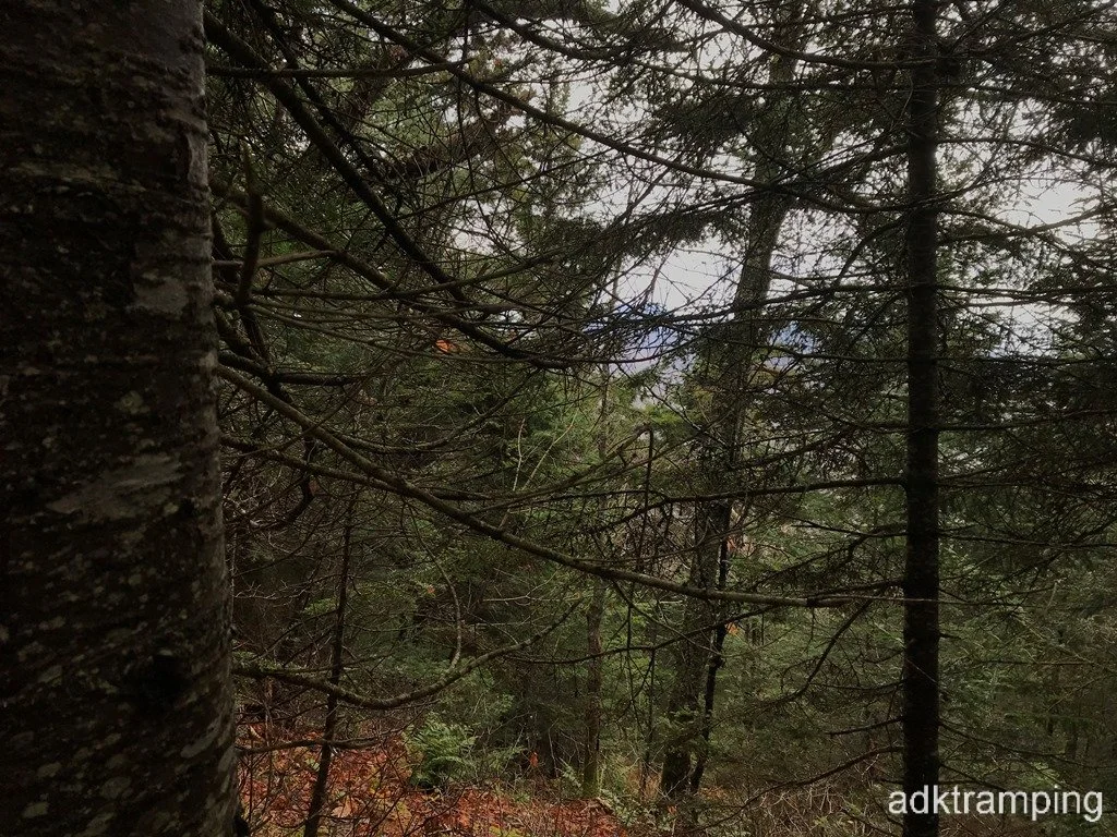 Distant mountains
