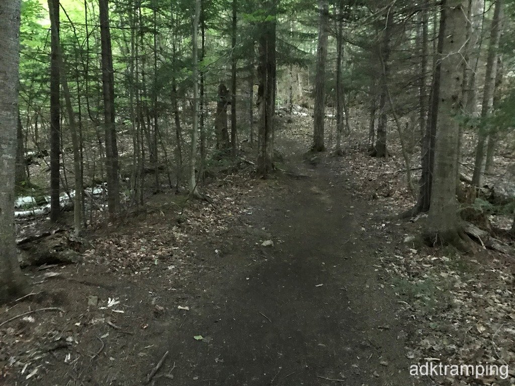 Early part of the trail.