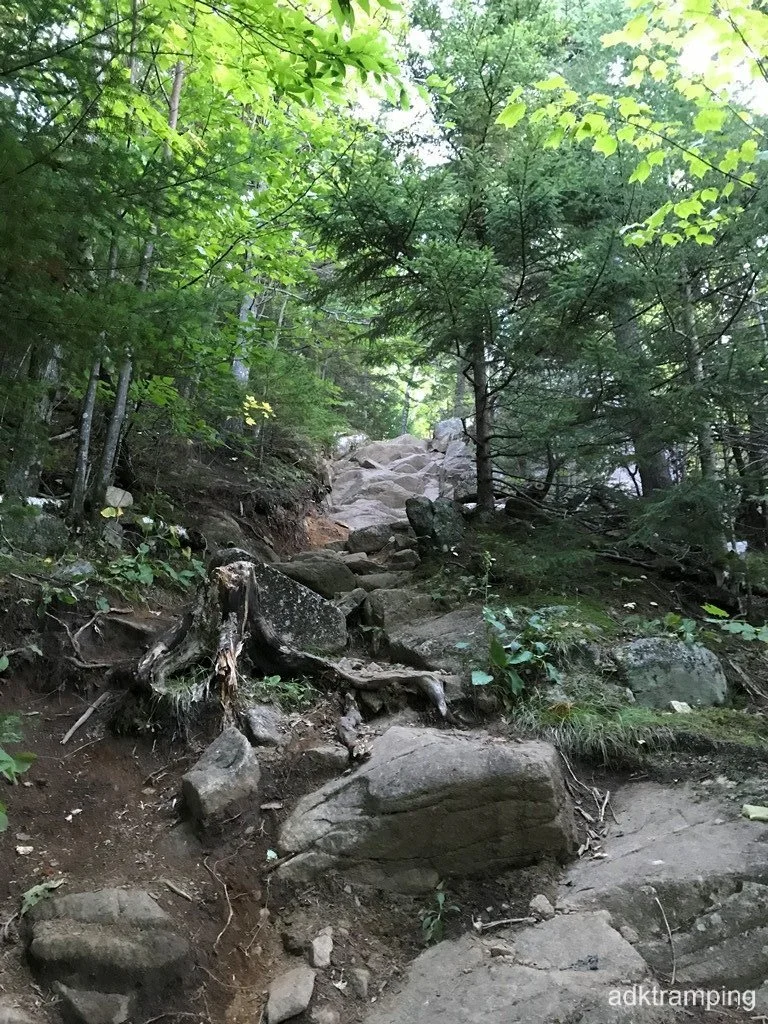 First scramble