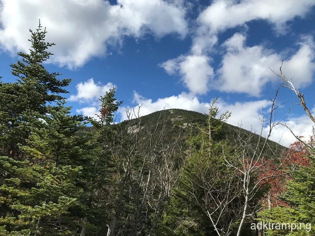 Giant from the col