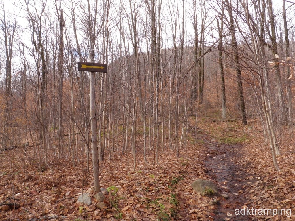 I guess we go that way