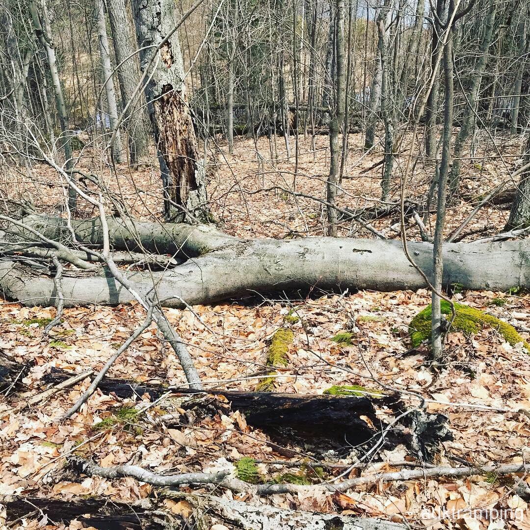 Image-13.jpg