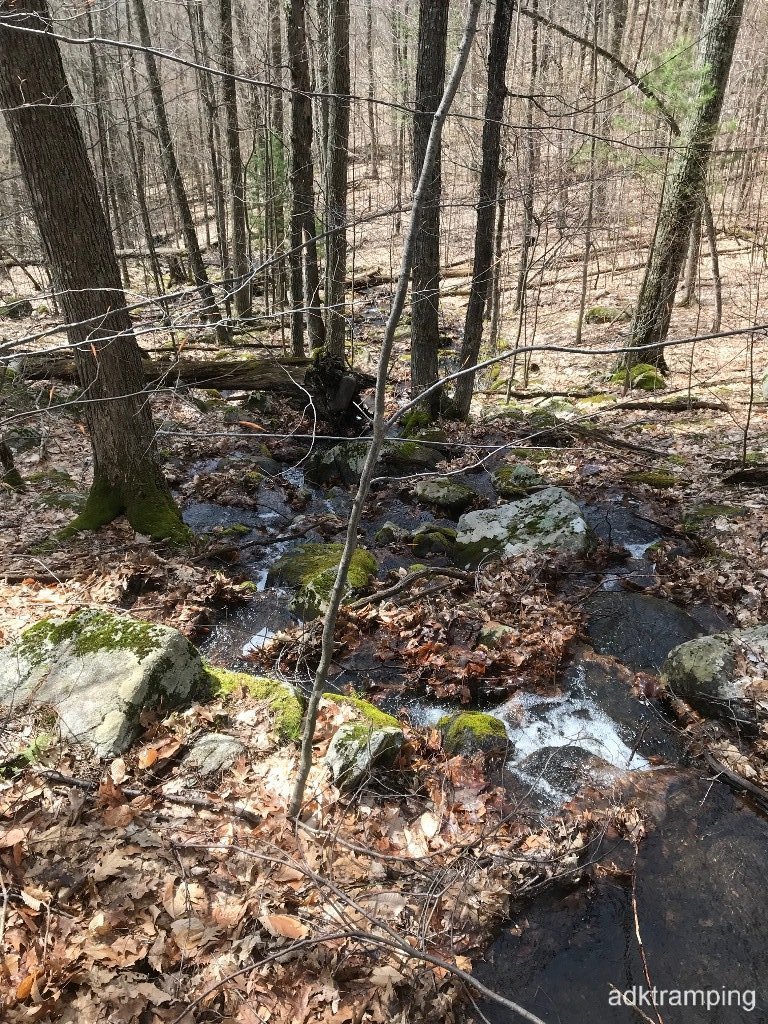 IMG_0225.jpg