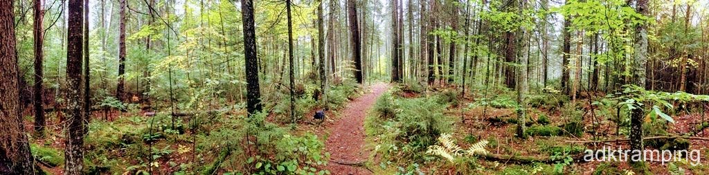 IMG_1258.jpg