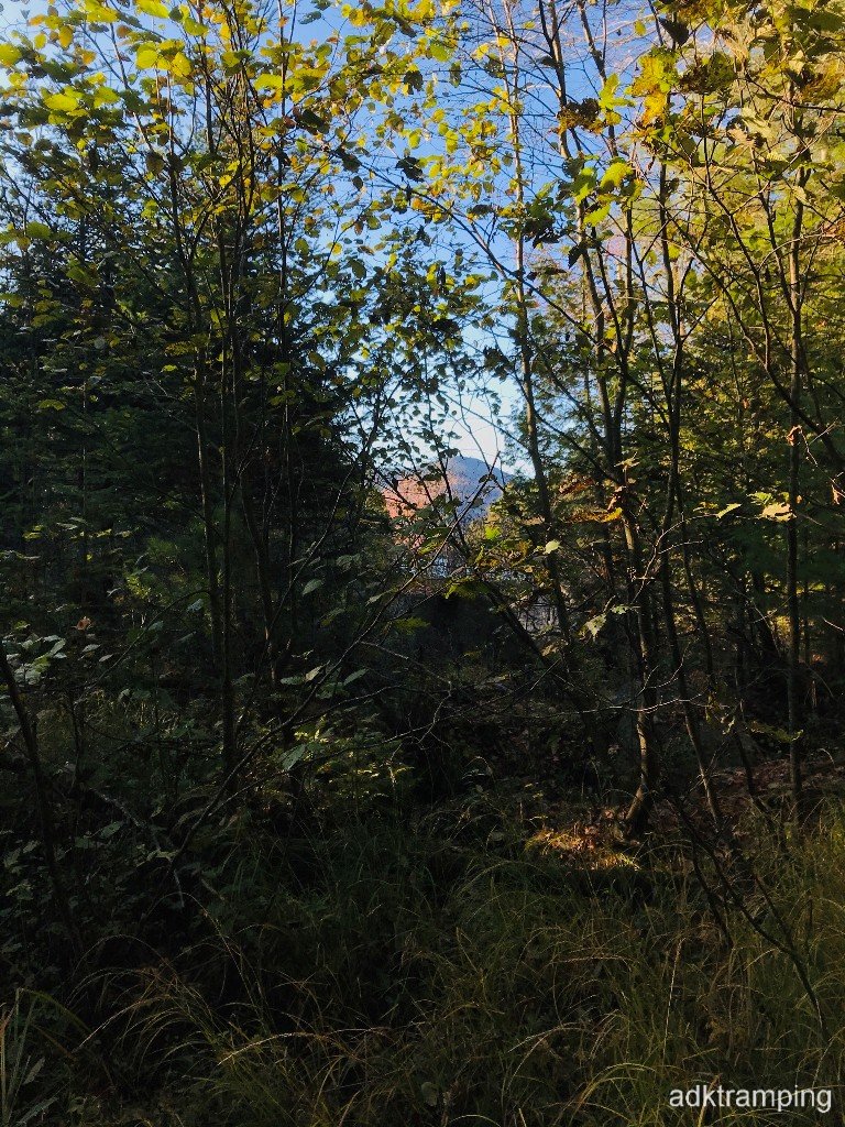 IMG_1331.jpeg