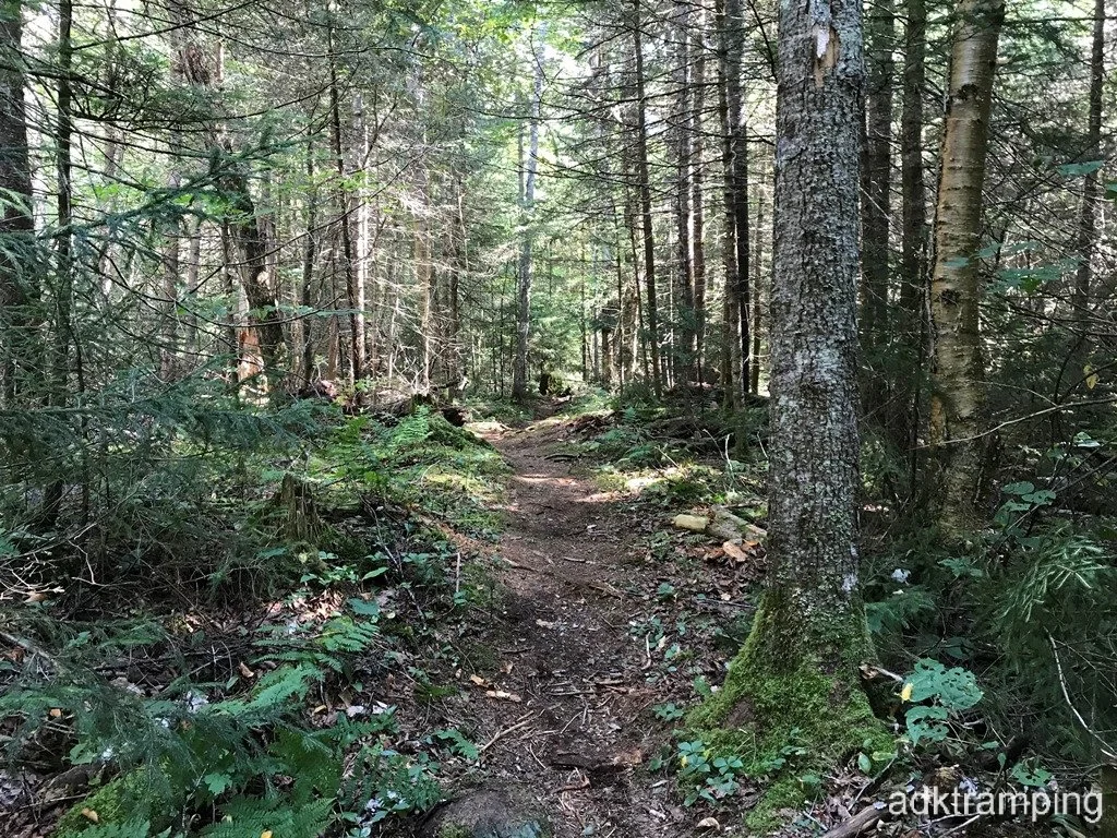 Loamy