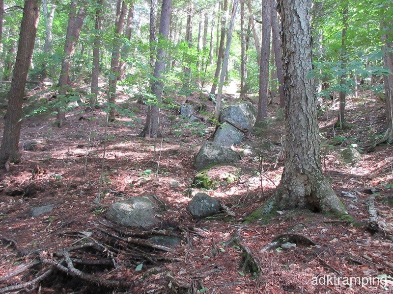 Looking up towards the summit