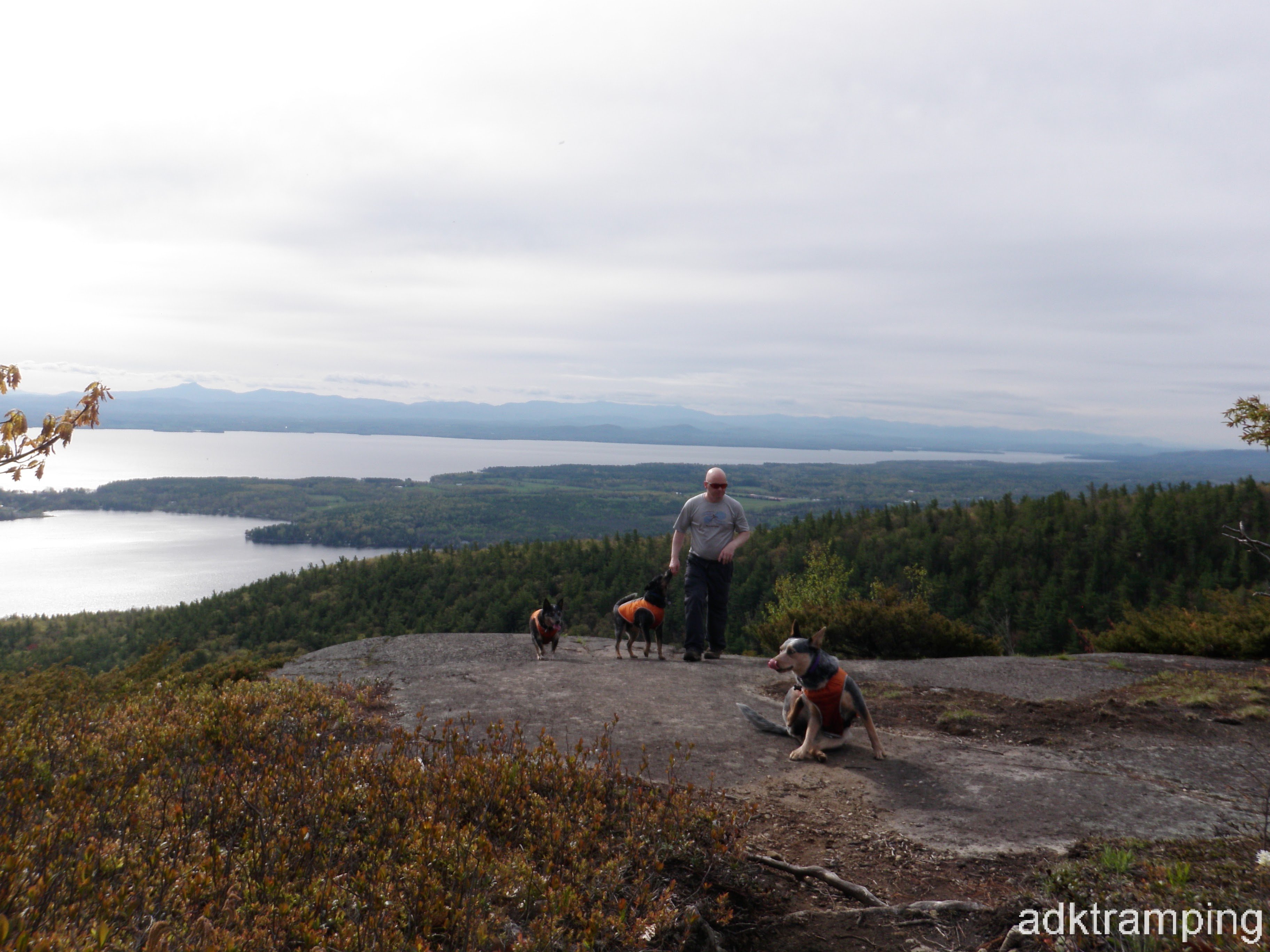 Me and the pups on Rattlesnake mountain