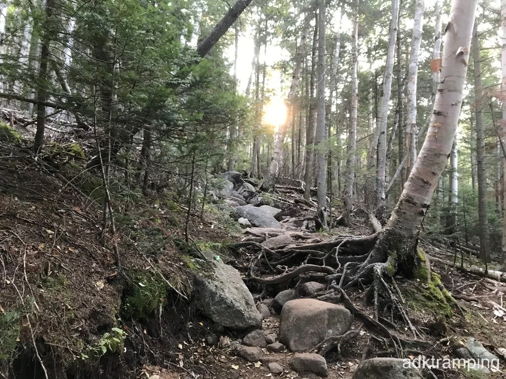 Morning sun coming through
