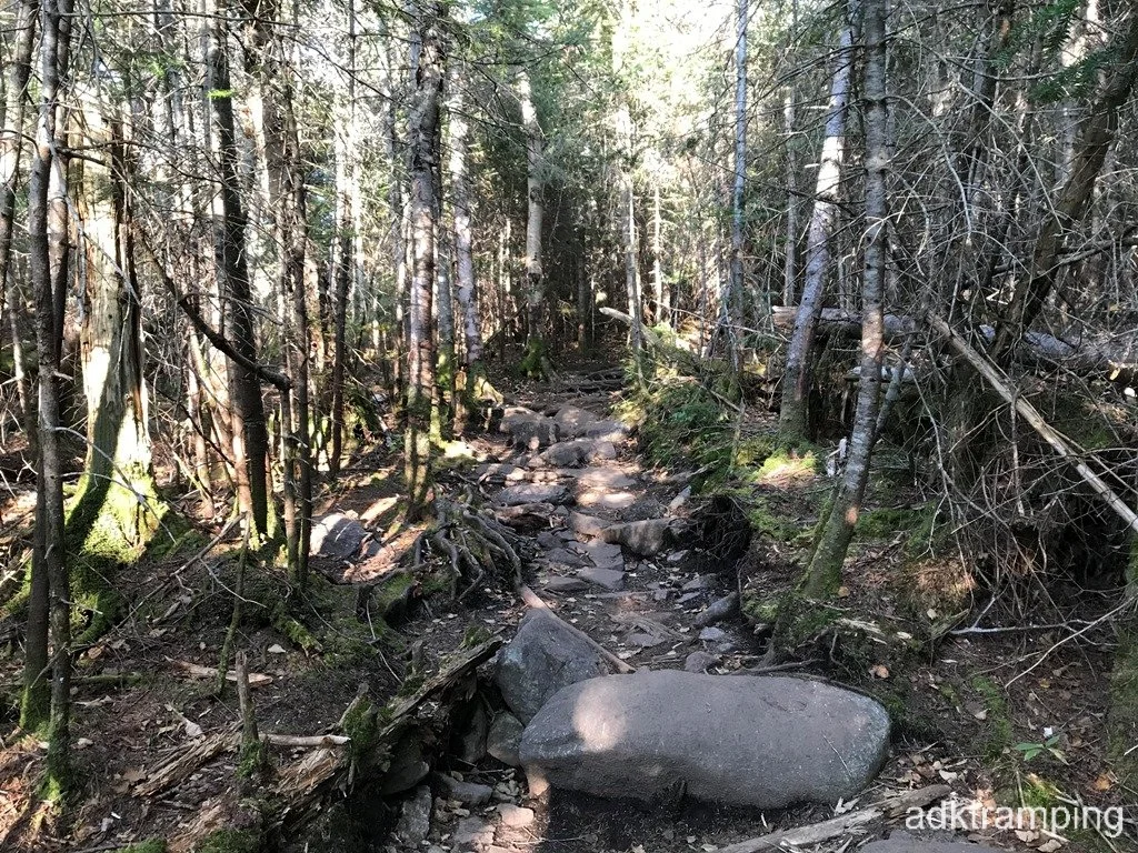 Most of the trail condition