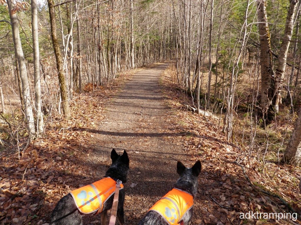 Our path, for a little ways