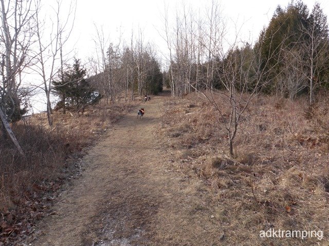 P1010002.jpg
