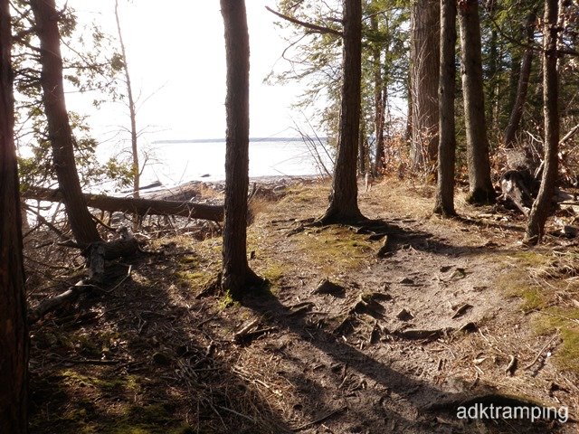 P1010005.jpg
