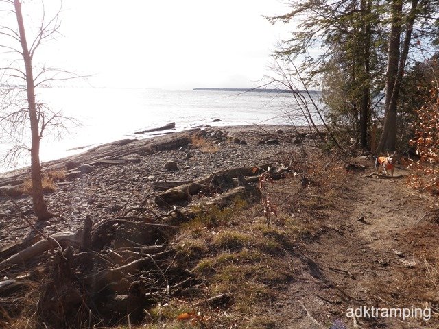 P1010006.jpg