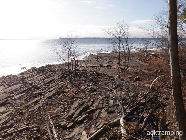 P1010011.jpg