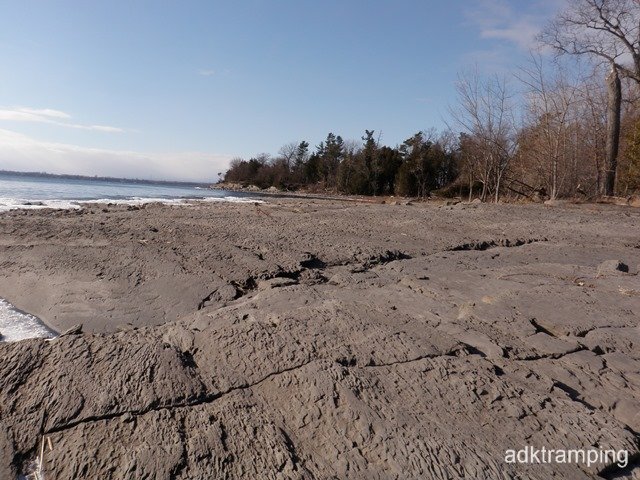 P1010012.jpg