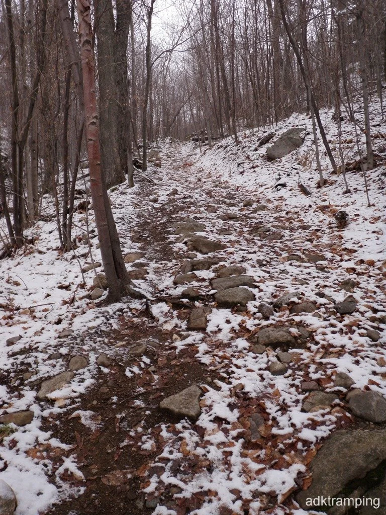 P1010021.jpg