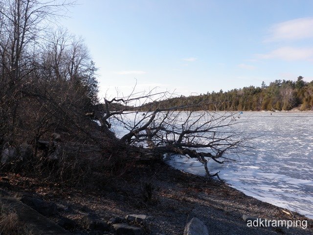 P1010027.jpg