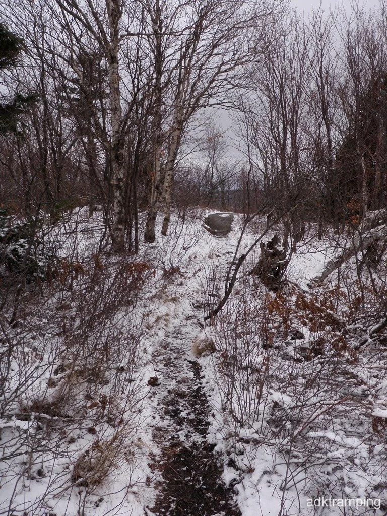 P1010043.jpg