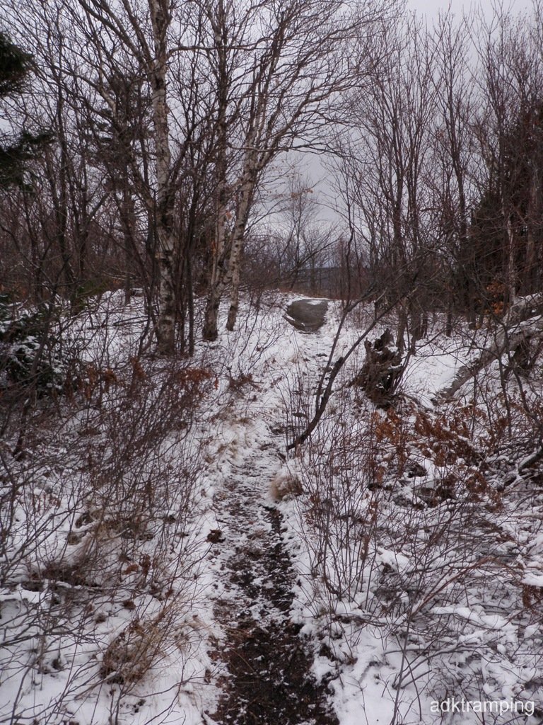 P1010043
