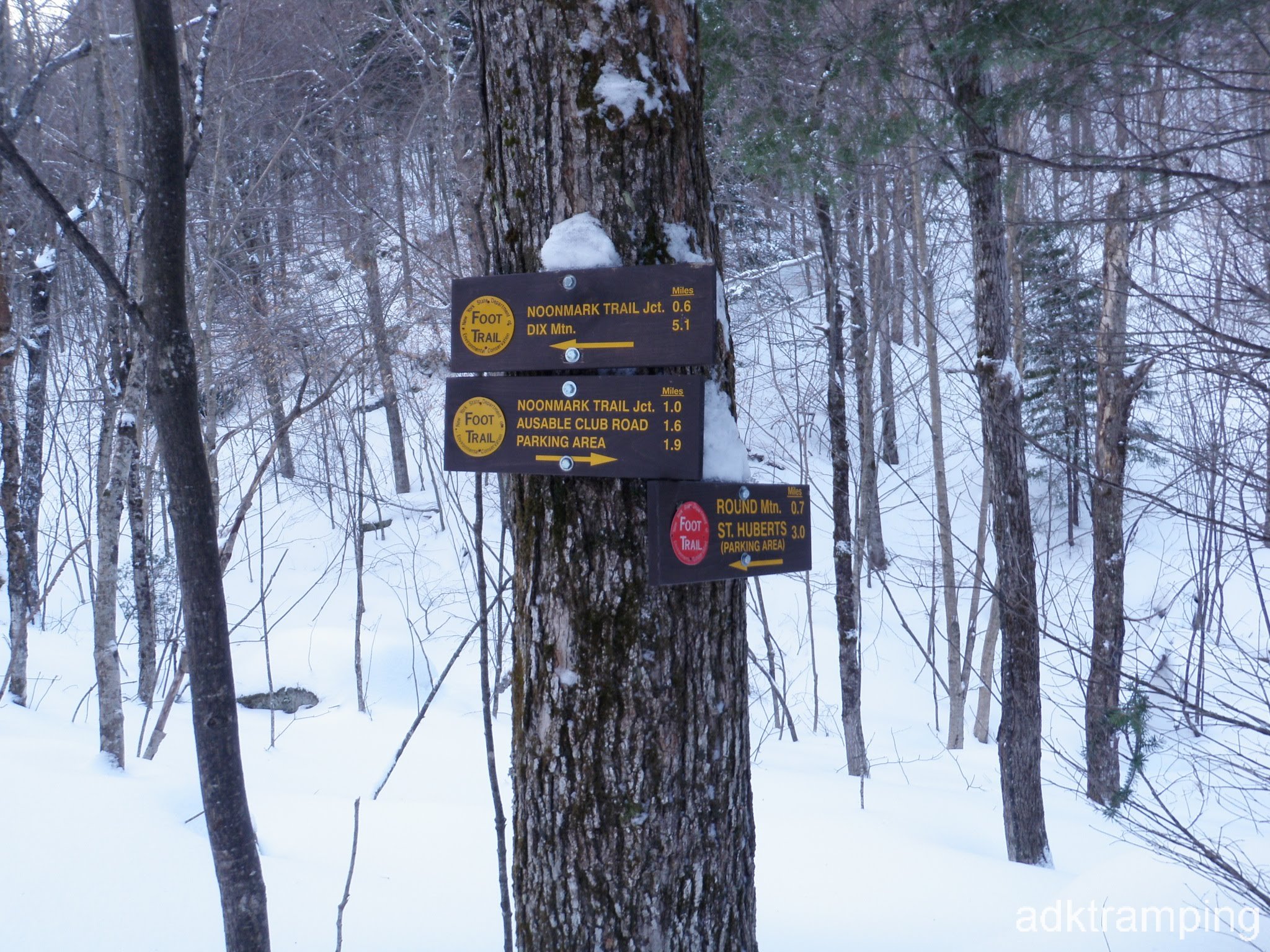 P1050031.jpg